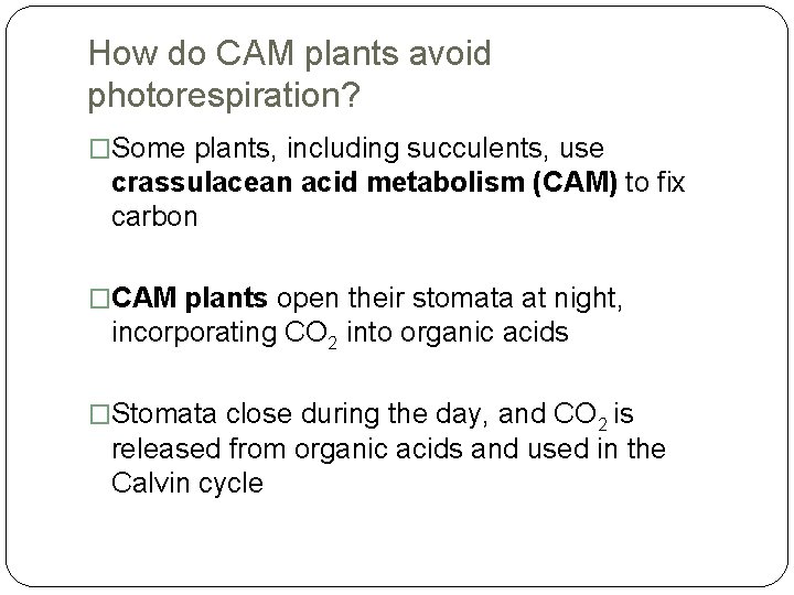 How do CAM plants avoid photorespiration? �Some plants, including succulents, use crassulacean acid metabolism