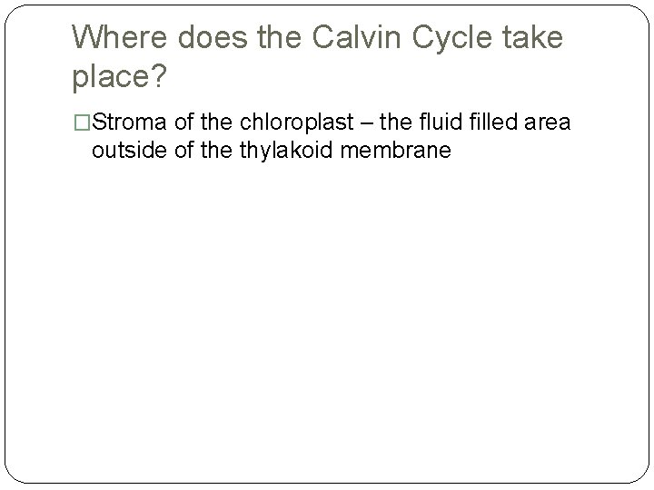 Where does the Calvin Cycle take place? �Stroma of the chloroplast – the fluid