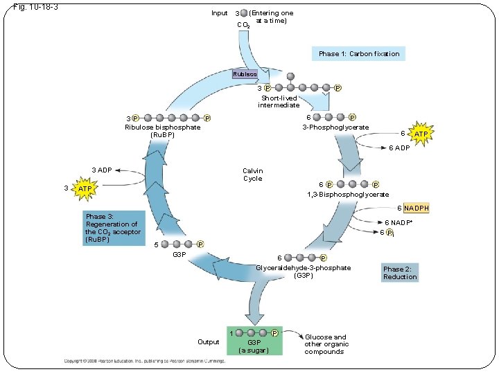 Fig. 10 -18 -3 Input 3 (Entering one at a time) CO 2 Phase