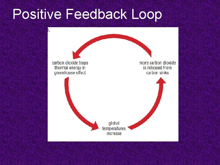 Positive Feedback Loop 