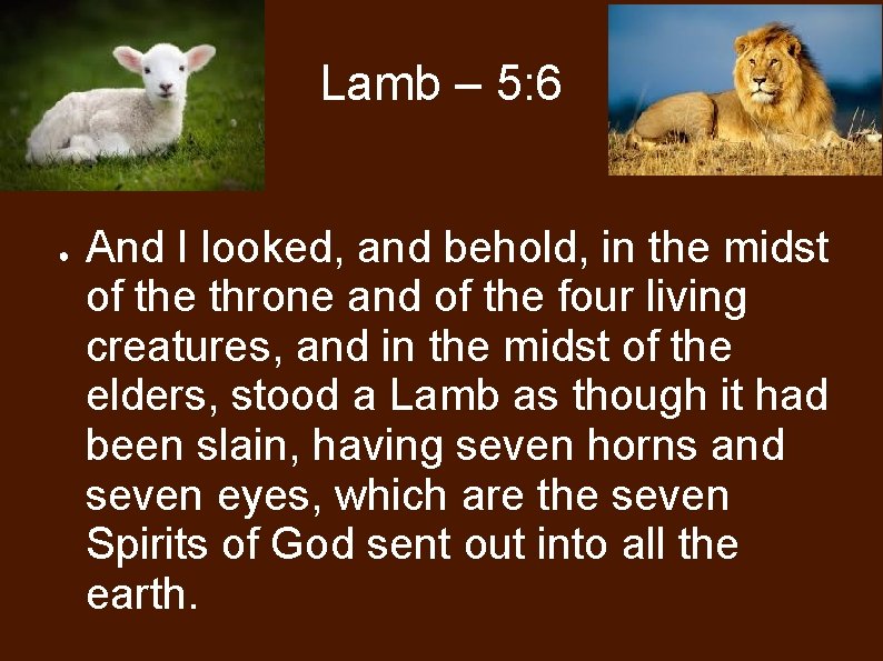 Lamb – 5: 6 ● And I looked, and behold, in the midst of