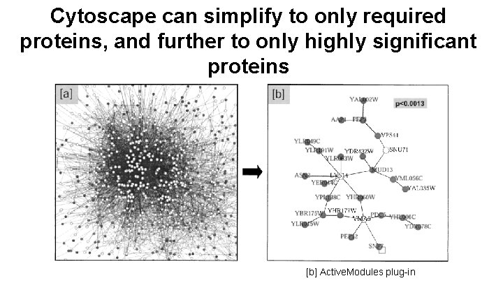 Cytoscape can simplify to only required proteins, and further to only highly significant proteins