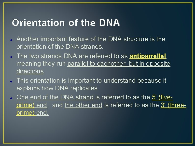 Orientation of the DNA Another important feature of the DNA structure is the orientation