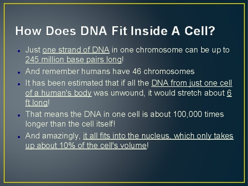 How Does DNA Fit Inside A Cell? Just one strand of DNA in one