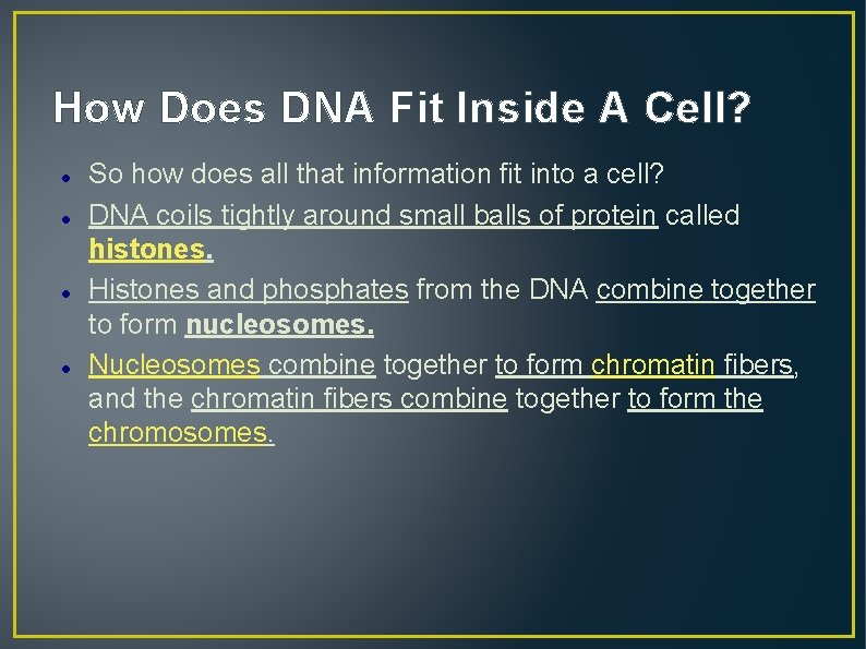 How Does DNA Fit Inside A Cell? So how does all that information fit