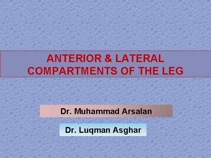 ANTERIOR & LATERAL COMPARTMENTS OF THE LEG Dr. Muhammad Arsalan Dr. Luqman Asghar 