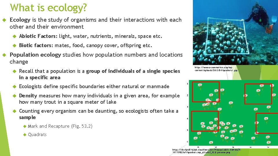 What is ecology? Ecology is the study of organisms and their interactions with each