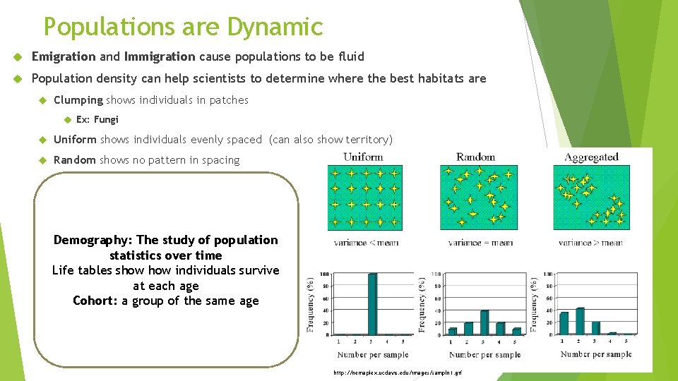 Populations are Dynamic Emigration and Immigration cause populations to be fluid Population density can