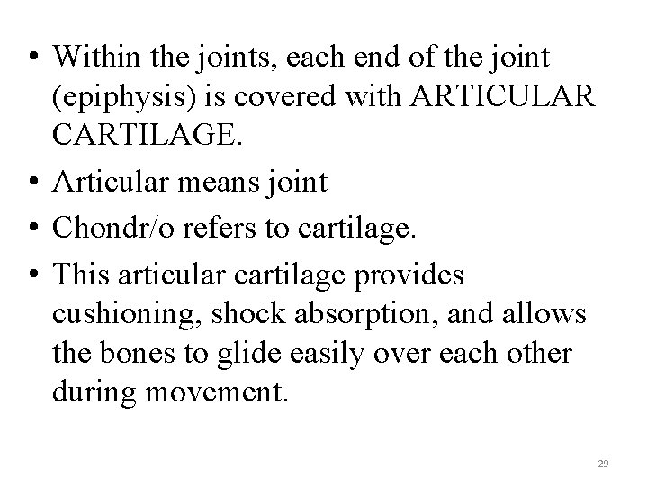  • Within the joints, each end of the joint (epiphysis) is covered with
