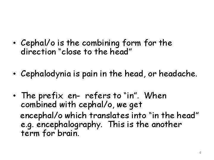  • Cephal/o is the combining form for the direction “close to the head”