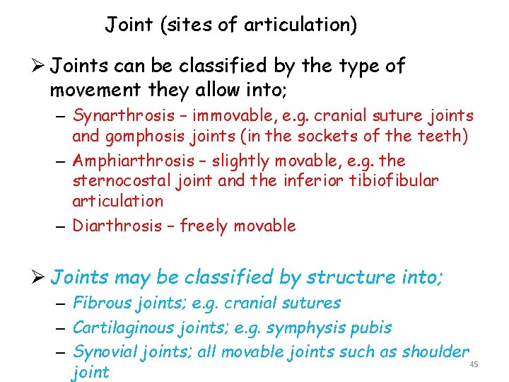 Joint (sites of articulation) Ø Joints can be classified by the type of movement