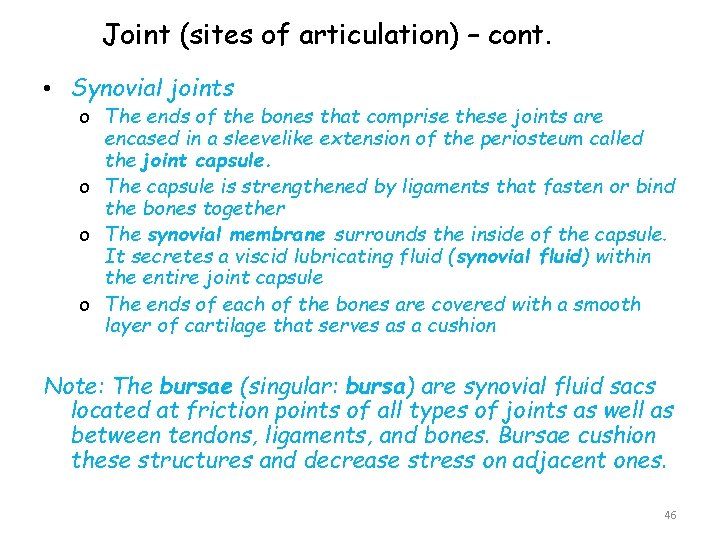 Joint (sites of articulation) – cont. • Synovial joints o The ends of the