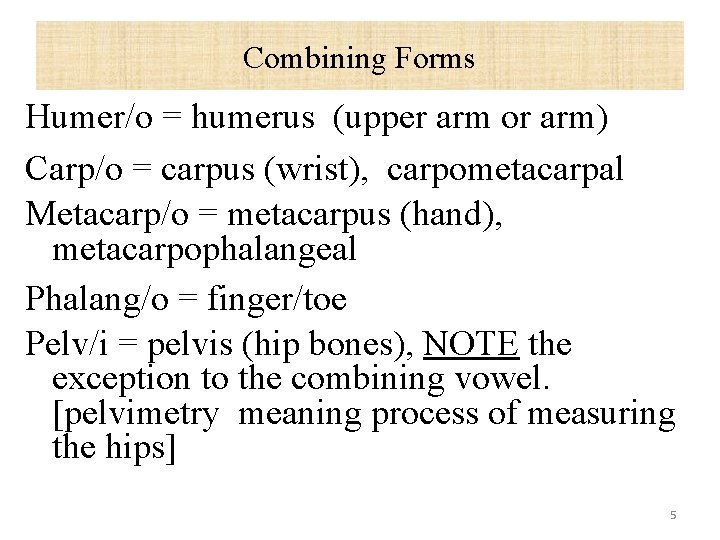 Combining Forms Humer/o = humerus (upper arm or arm) Carp/o = carpus (wrist), carpometacarpal