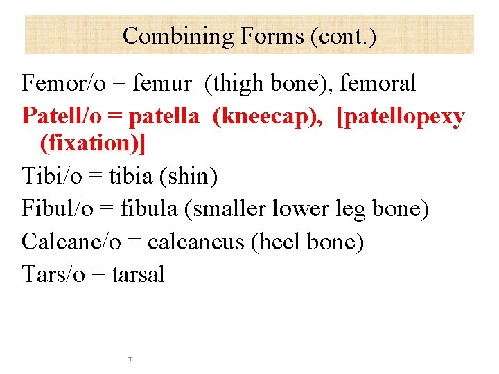 Combining Forms (cont. ) Femor/o = femur (thigh bone), femoral Patell/o = patella (kneecap),