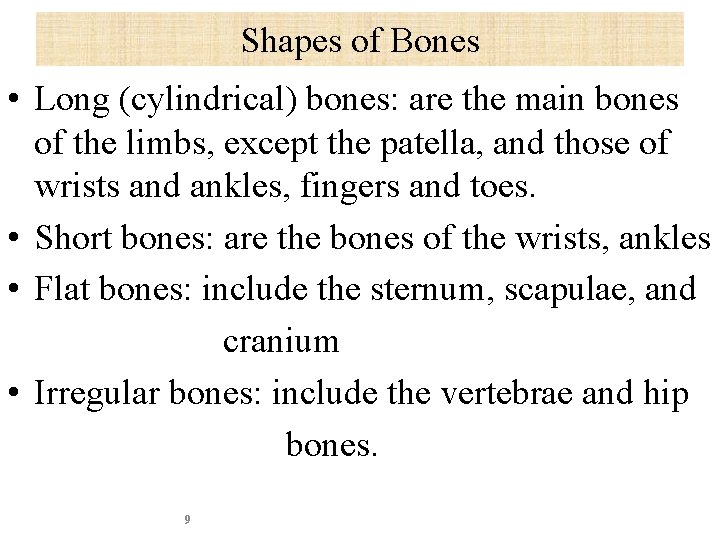 Shapes of Bones • Long (cylindrical) bones: are the main bones of the limbs,