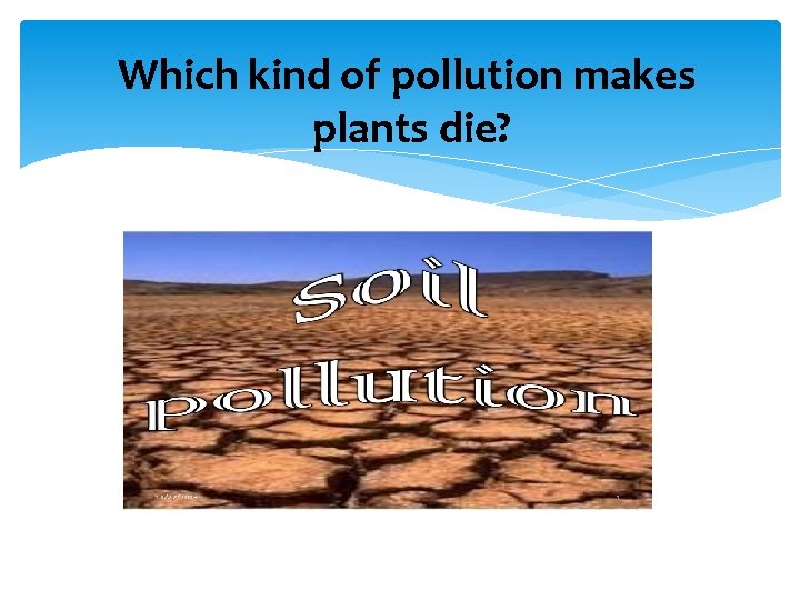 Which kind of pollution makes plants die? 