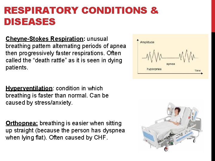 RESPIRATORY CONDITIONS & DISEASES Cheyne-Stokes Respiration: unusual breathing pattern alternating periods of apnea then