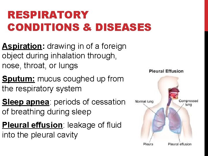 RESPIRATORY CONDITIONS & DISEASES Aspiration: drawing in of a foreign object during inhalation through,