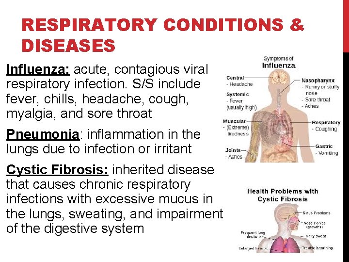 RESPIRATORY CONDITIONS & DISEASES Influenza: acute, contagious viral respiratory infection. S/S include fever, chills,