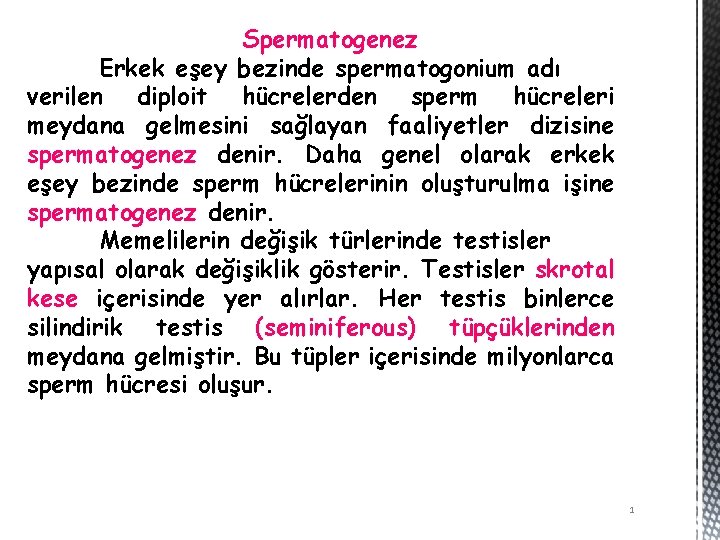 Spermatogenez Erkek eşey bezinde spermatogonium adı verilen diploit hücrelerden sperm hücreleri meydana gelmesini sağlayan