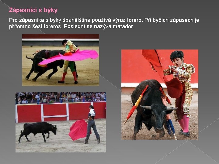 Zápasníci s býky Pro zápasníka s býky španělština používá výraz torero. Při býčích zápasech