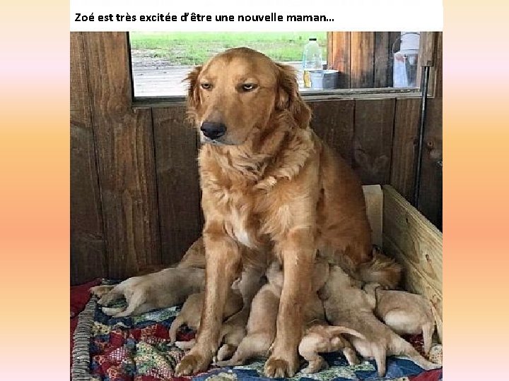 Zoé est très excitée d’être une nouvelle maman… 