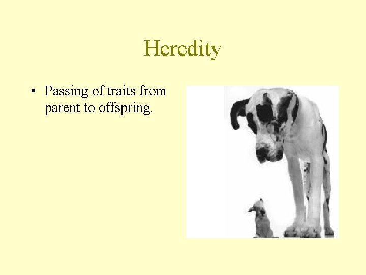Heredity • Passing of traits from parent to offspring. 