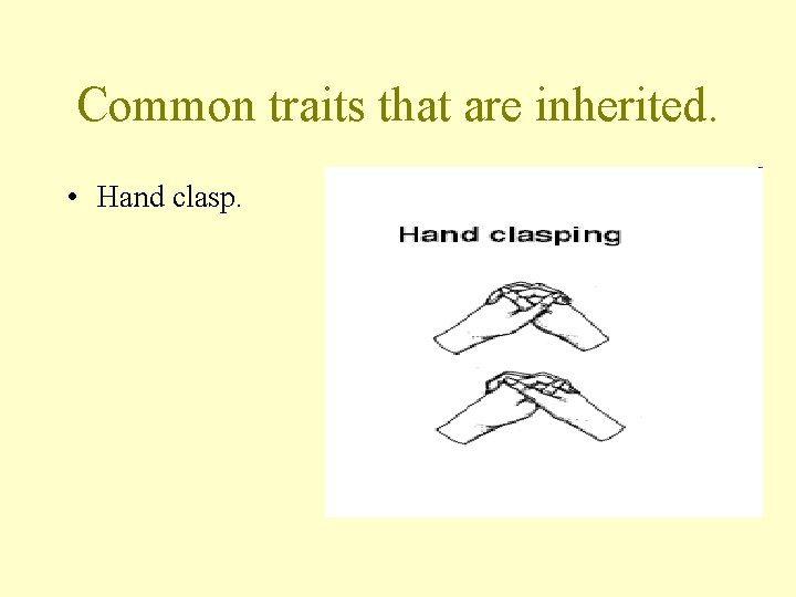 Common traits that are inherited. • Hand clasp. 