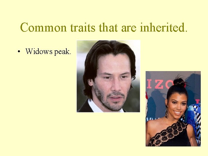 Common traits that are inherited. • Widows peak. 
