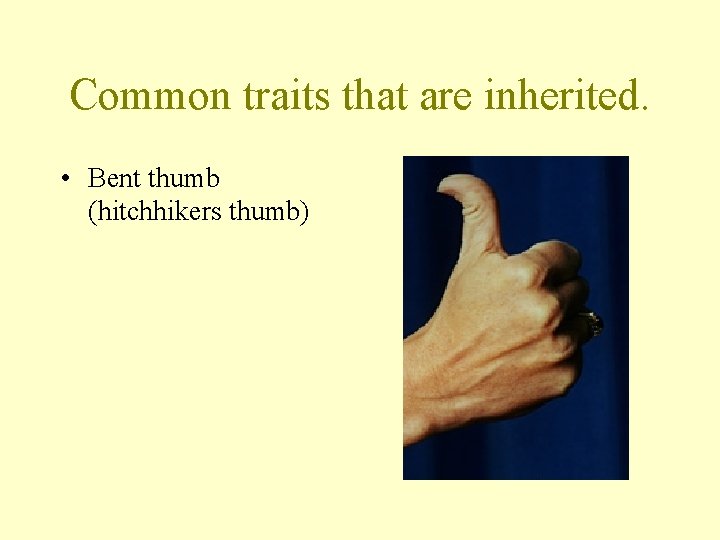 Common traits that are inherited. • Bent thumb (hitchhikers thumb) 