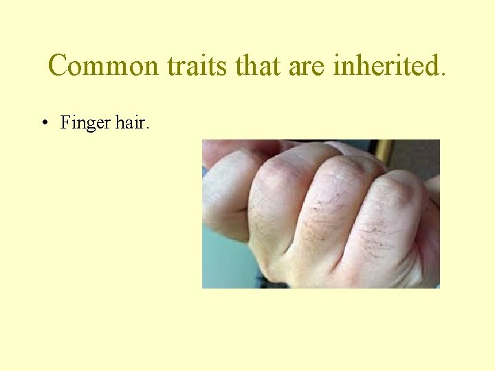 Common traits that are inherited. • Finger hair. 