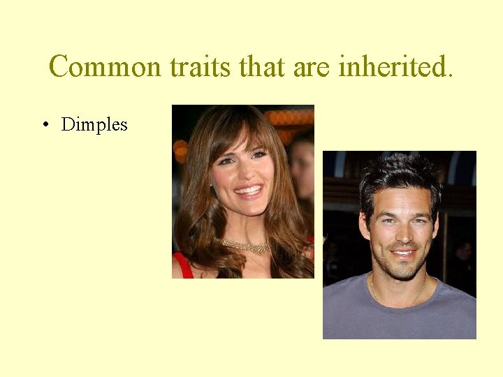 Common traits that are inherited. • Dimples 