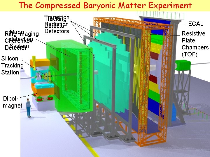 The Compressed Baryonic Matter Experiment Transition Tracking Radiation Detector Muon Ring Imaging Detectors detection