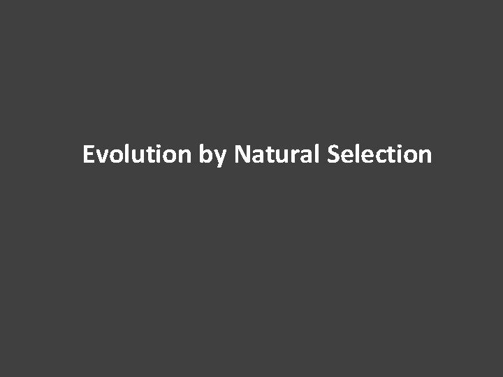Evolution by Natural Selection 