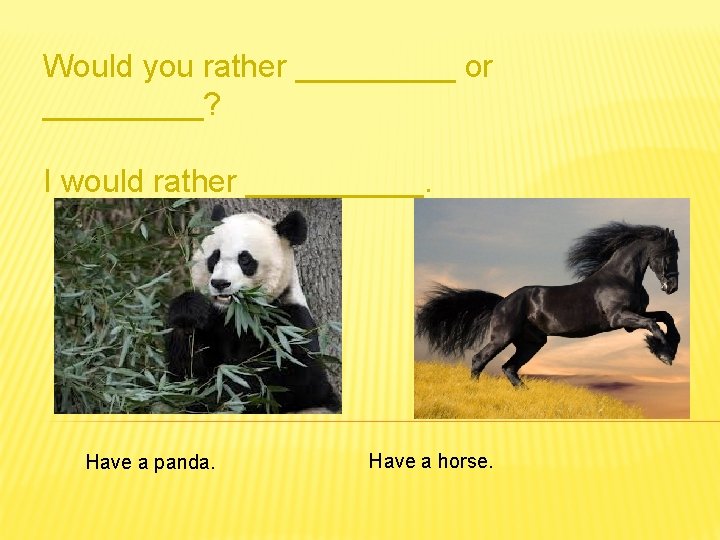 Would you rather _____ or _____? I would rather _____. Have a panda. Have