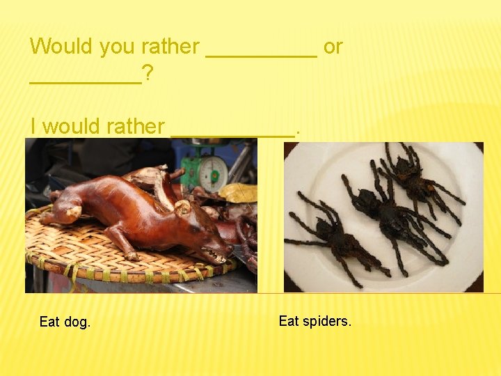 Would you rather _____ or _____? I would rather _____. Eat dog. Eat spiders.