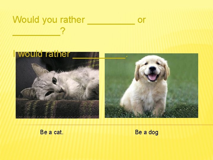 Would you rather _____ or _____? I would rather _____. Be a cat. Be