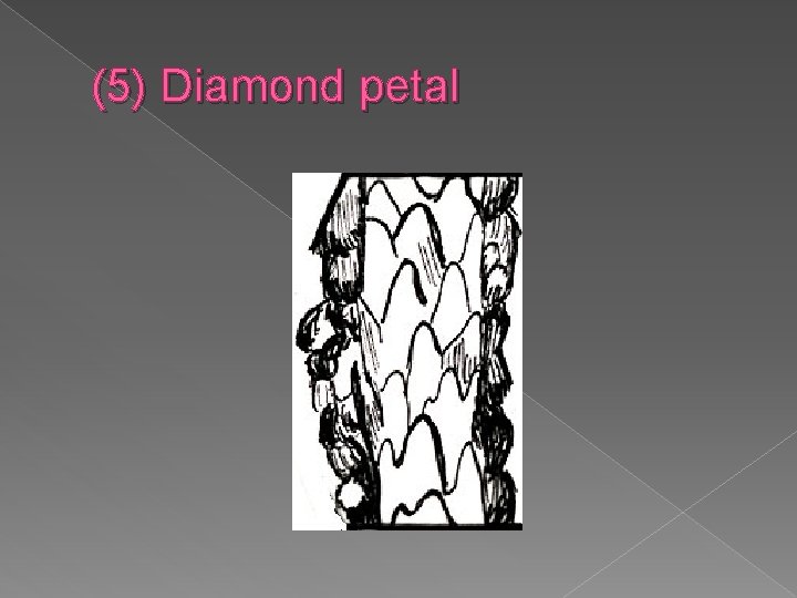 (5) Diamond petal 