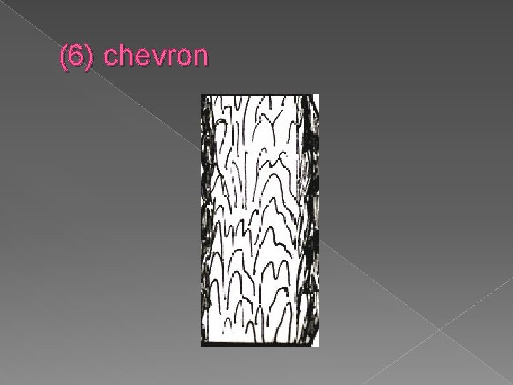 (6) chevron 