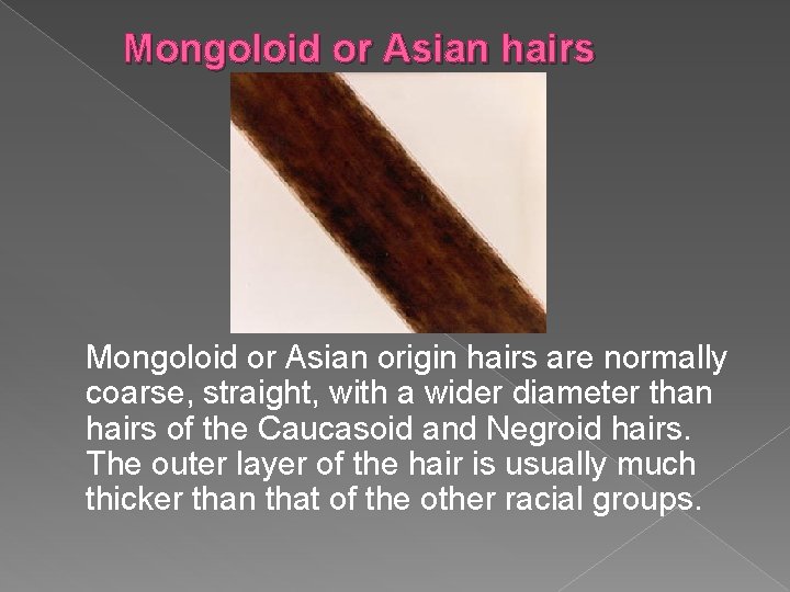 Mongoloid or Asian hairs Mongoloid or Asian origin hairs are normally coarse, straight, with