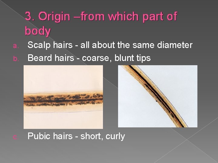 3. Origin –from which part of body Scalp hairs - all about the same