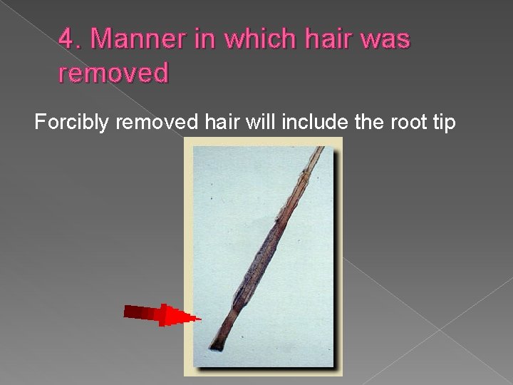 4. Manner in which hair was removed Forcibly removed hair will include the root