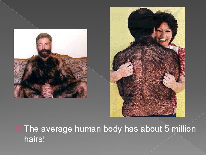 � The average human body has about 5 million hairs! 