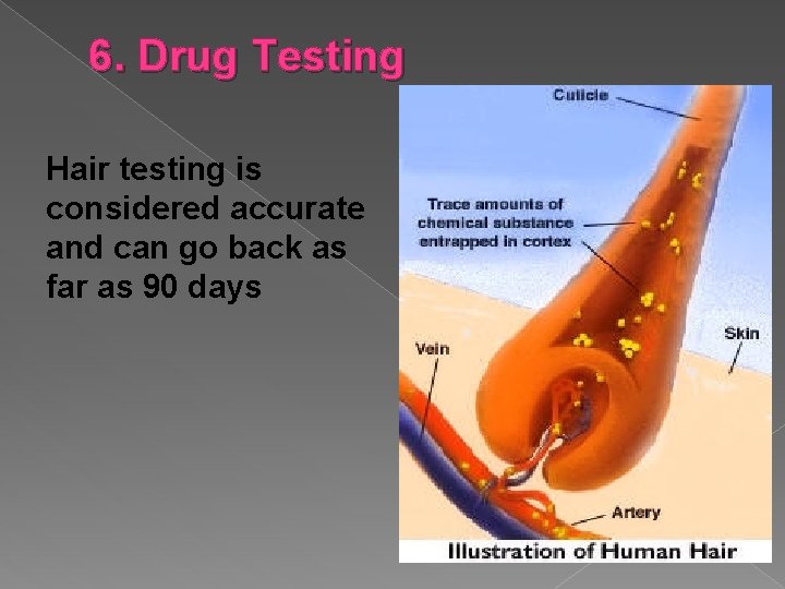 6. Drug Testing Hair testing is considered accurate and can go back as far