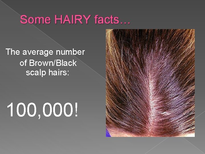 Some HAIRY facts… The average number of Brown/Black scalp hairs: 100, 000! 