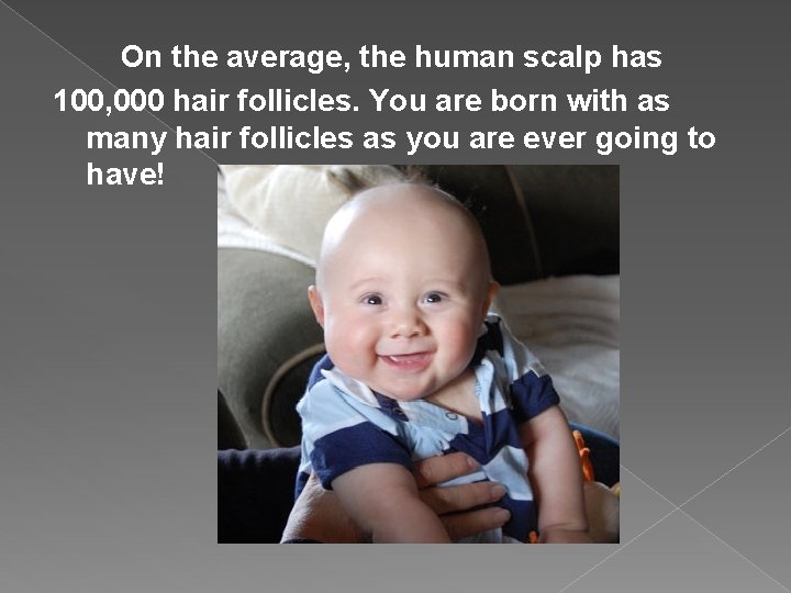 On the average, the human scalp has 100, 000 hair follicles. You are born