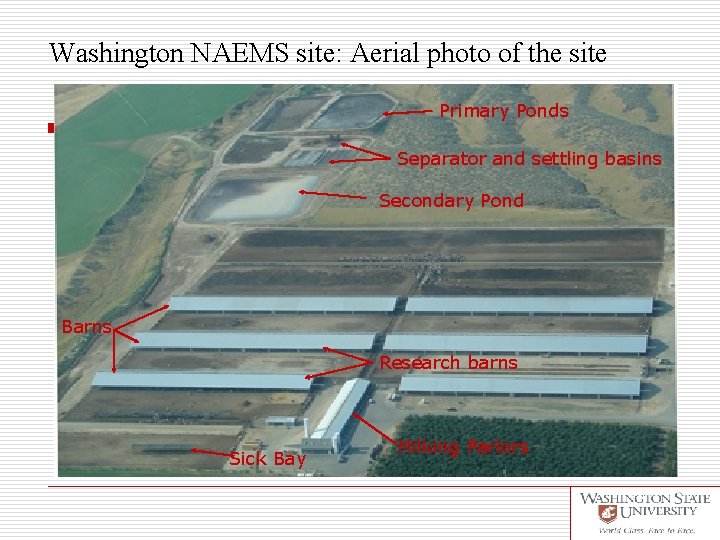 Washington NAEMS site: Aerial photo of the site Primary Ponds Separator and settling basins