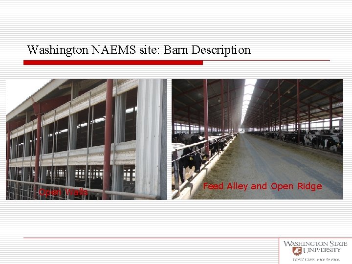 Washington NAEMS site: Barn Description Open Walls Feed Alley and Open Ridge 