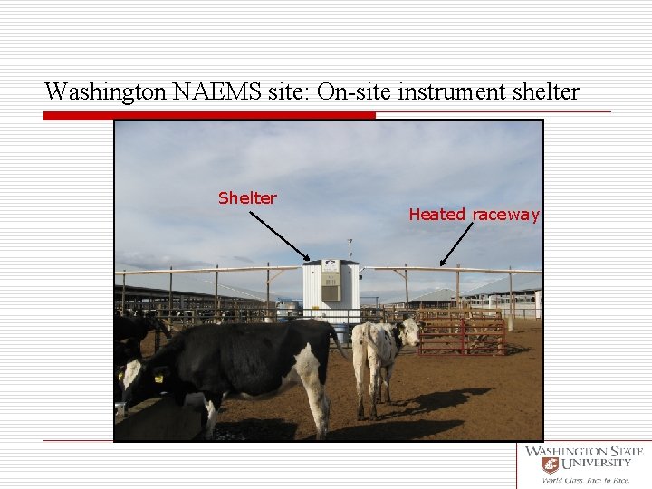 Washington NAEMS site: On-site instrument shelter Shelter Heated raceway 