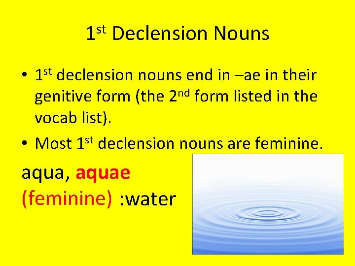 1 st Declension Nouns • 1 st declension nouns end in –ae in their